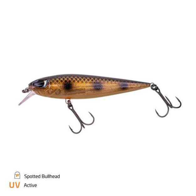 Bild von Dundee 13.5cm |2.5m SP Spotted Bullhead 