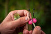 Bild von Korda ZR Hook Treatment 