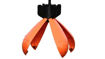Bild von Spyder Spod 
