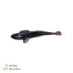 Bild von Zeck Finesse Goby 7cm